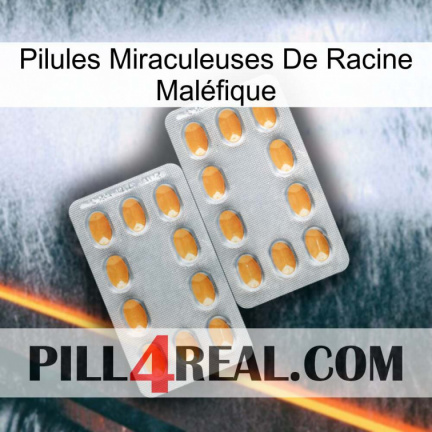 Pilules Miraculeuses De Racine Maléfique cialis4